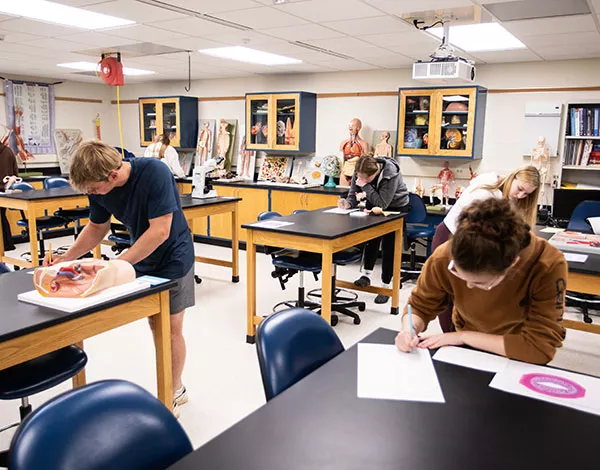 Madison College students in anatomy class