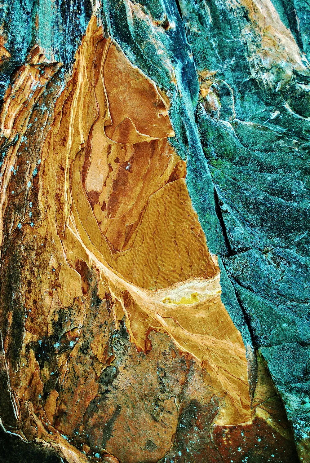 Art of STEM exhibit photo by Aaron Carlson