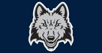 Madison College Athletics WolfPack logo with wolf face in gray and black.
