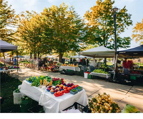 Madison farmer's market