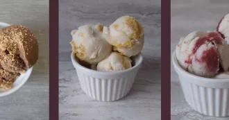 Fifth Scoop vegan ice cream