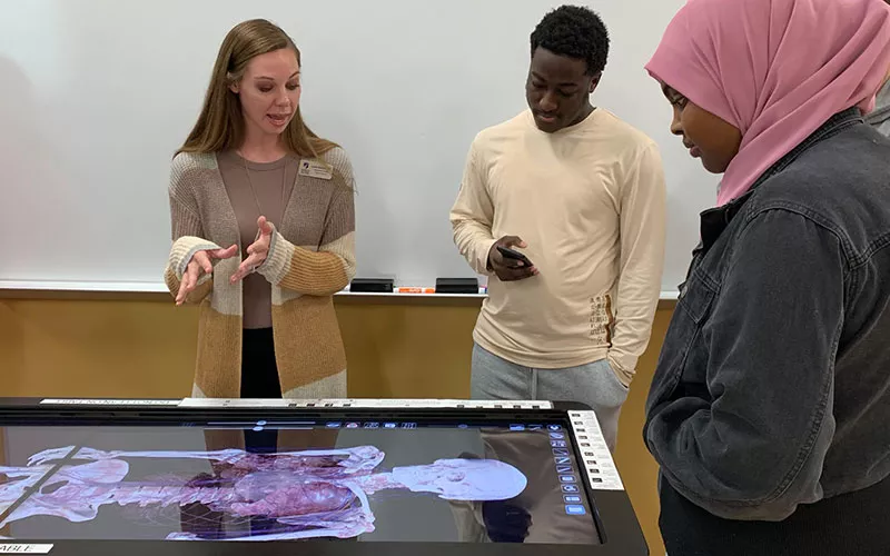 students interacting with an anatomy study table