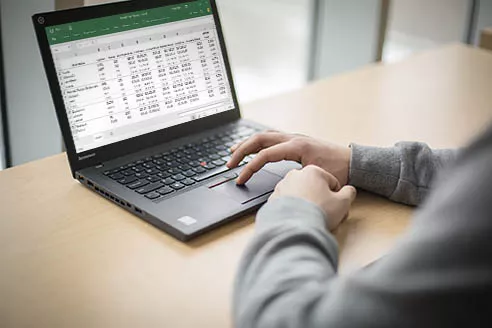 A person working on a spreadsheet.