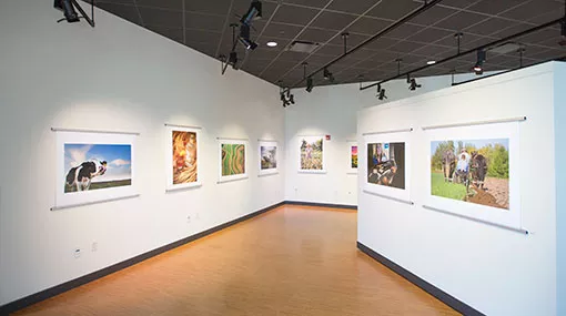 Gallery at Truax art exhibition